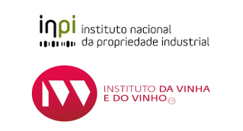 Newsletter n.º 85 - Foto 1